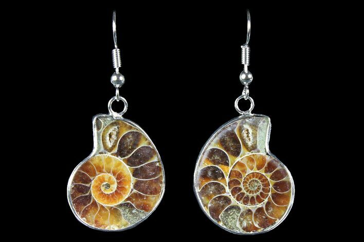 Fossil Ammonite Earrings - Million Years Old #152008